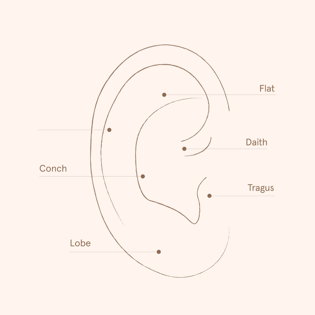 ear piercing chart different types of ear piercings